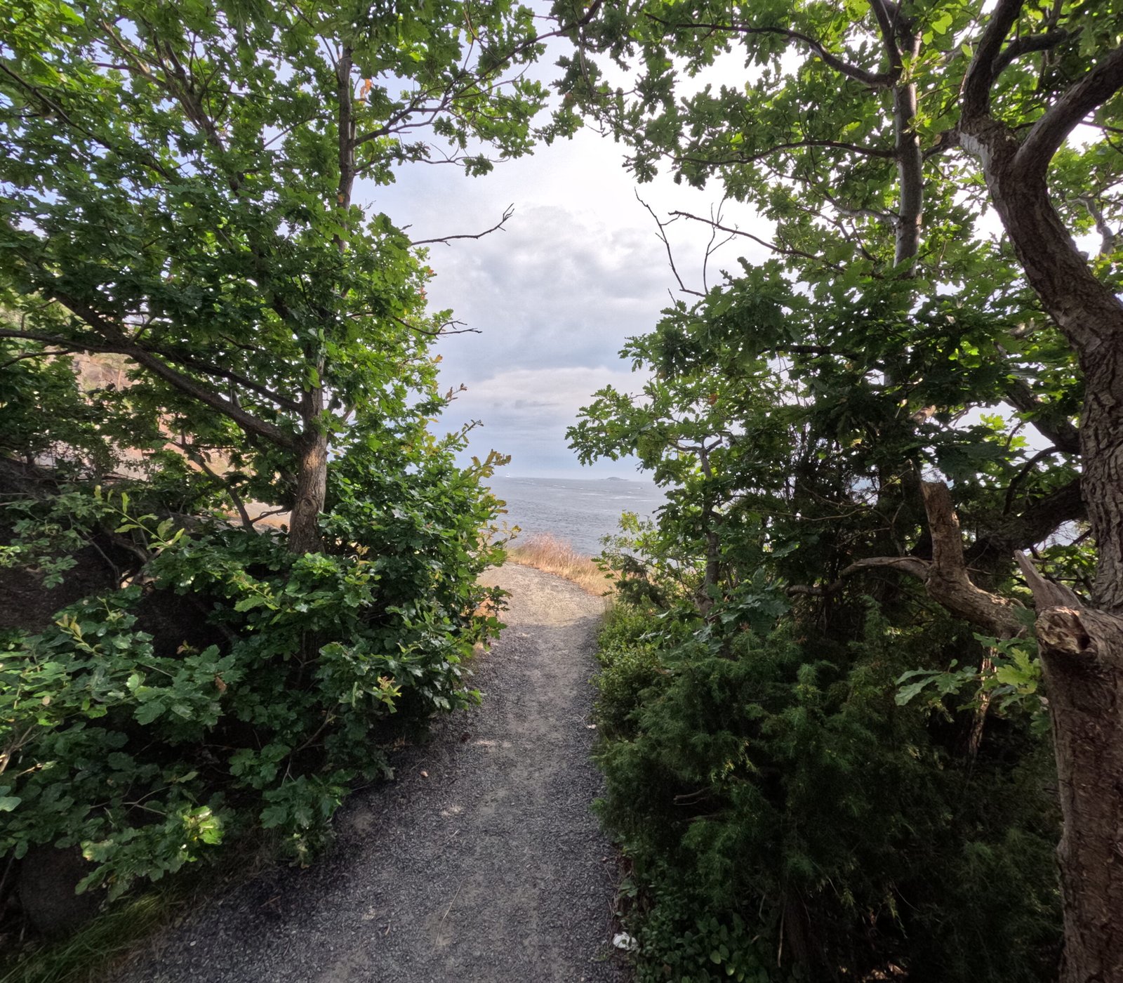 DCIM101GOPROGOPR8100.JPG