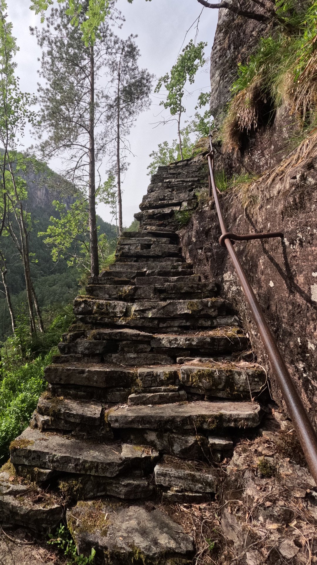 Stegane-Matre-hogdebilde